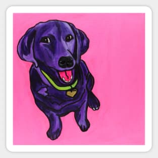 Tisha the Black Lab Sticker